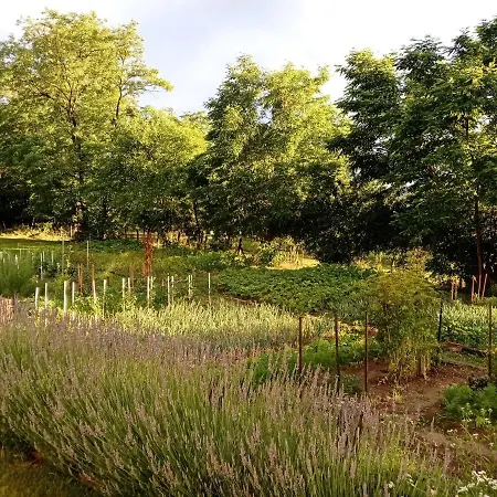 Apartman Mi Kertünk