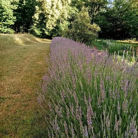 Mi Kertünk Apartman Zalaszentlorinc